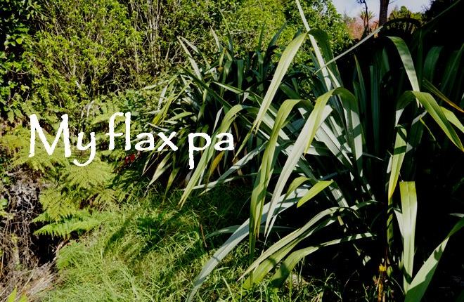 AllFlax - my flax pa