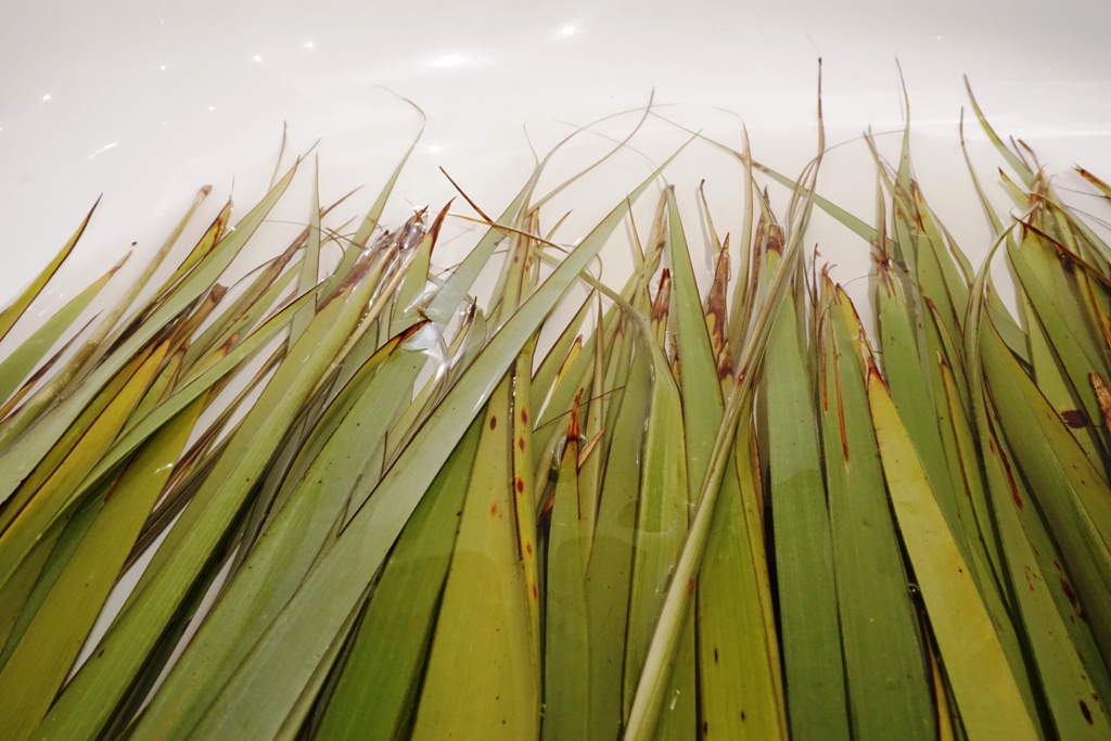 AllFlax: cut flax blades