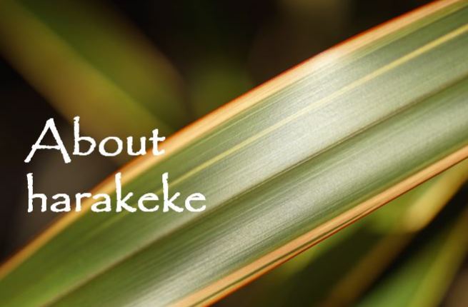 New Zealand flax: harakeke